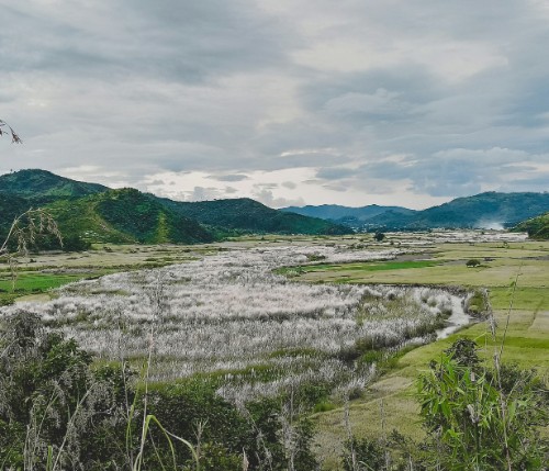 Manipur