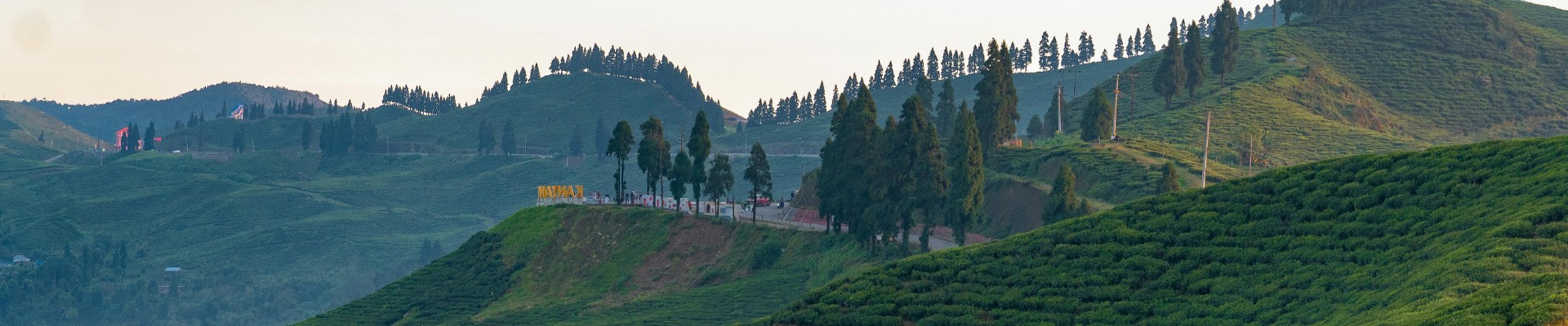 Darjeeling